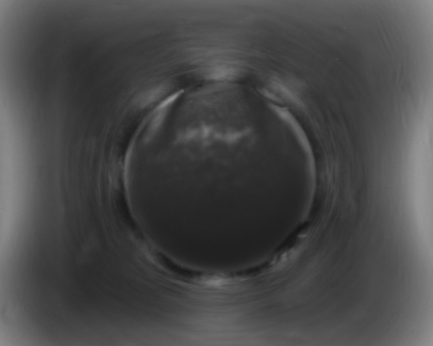 X0000085320325200703302050