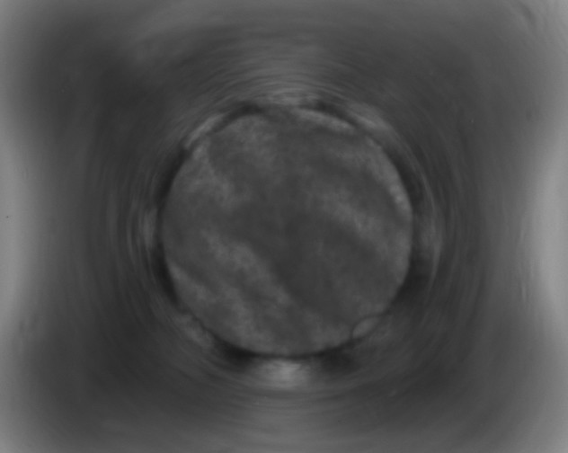 X0000085320326200703302050