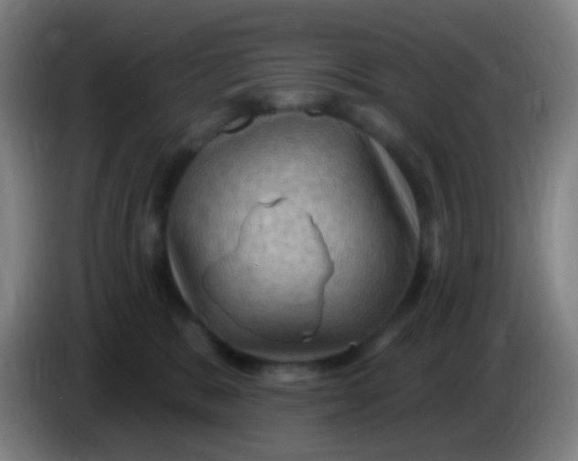 X0000085320327200703302050