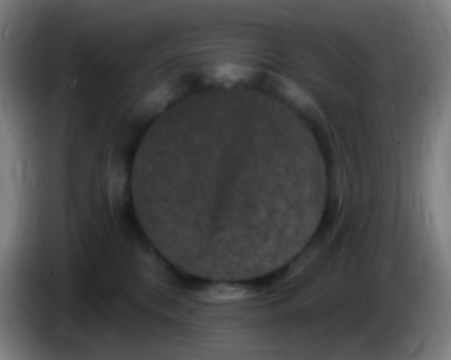 X0000085320328200703302050