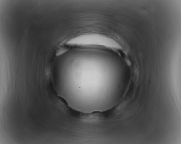 X0000085320329200703302050
