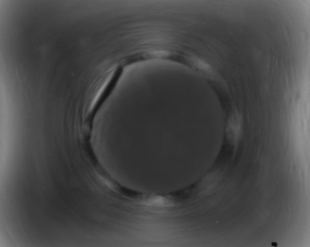 X0000085320330200703302050