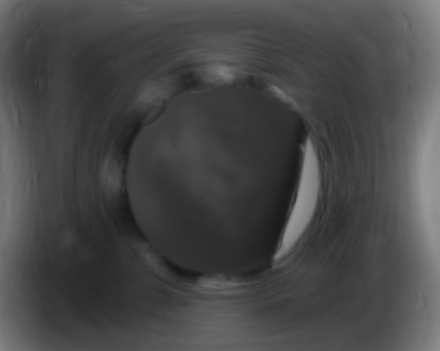 X0000085320331200703302050