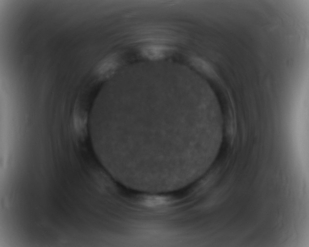 X0000085320332200703302050