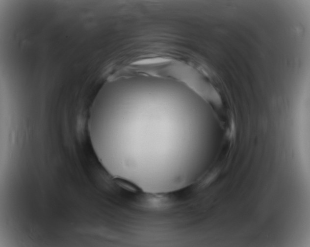 X0000085320333200703302050