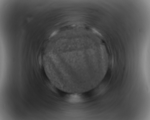 X0000085320335200703302050