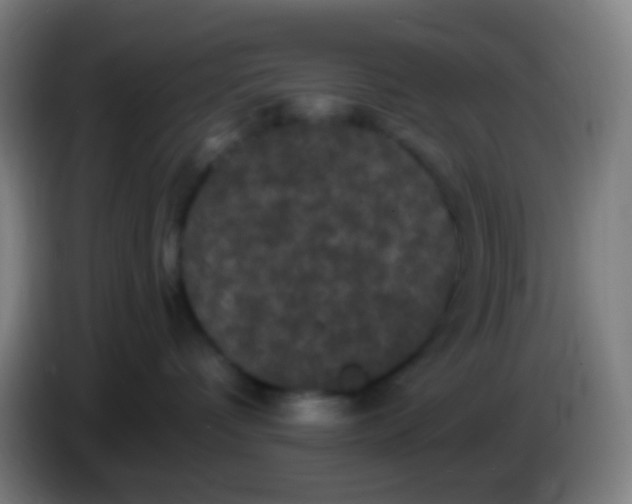 X0000085320336200703302050