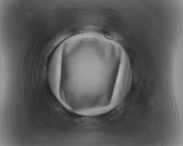 X0000085320338200703302049