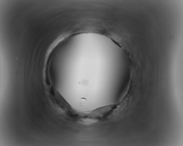 X0000085320340200703302049
