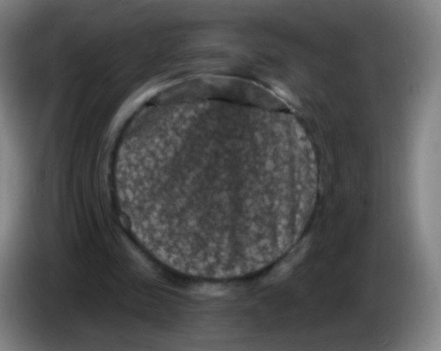 X0000085320341200703302049
