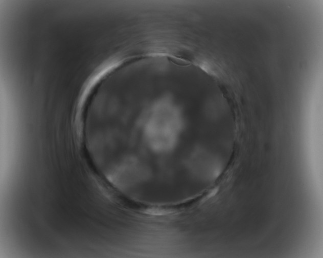X0000085320343200703302049