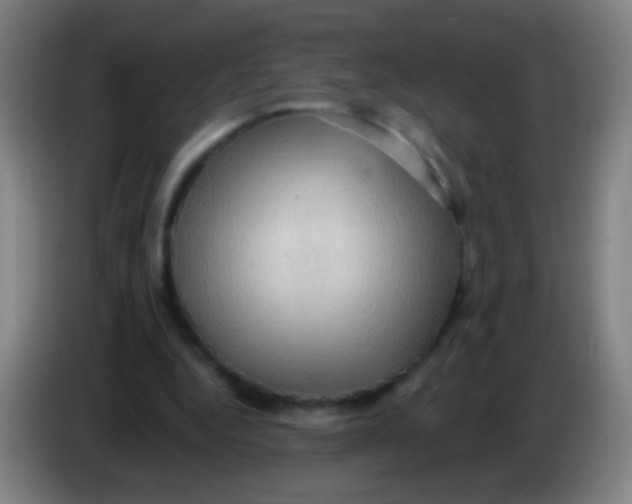 X0000085320344200703302049