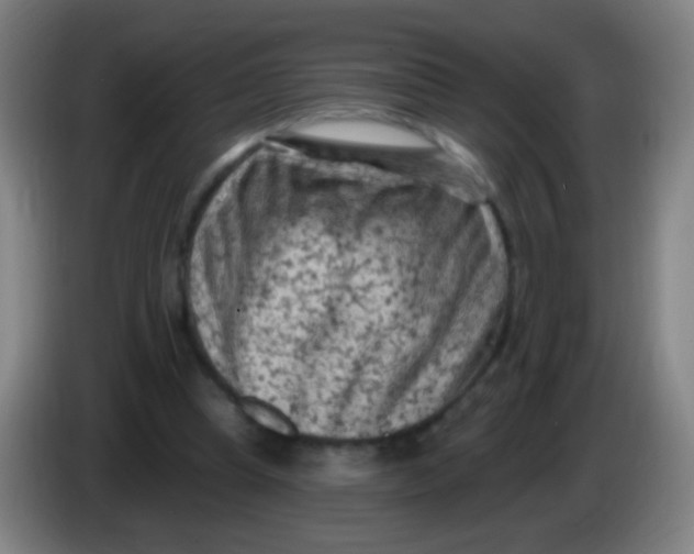 X0000085320345200703302049