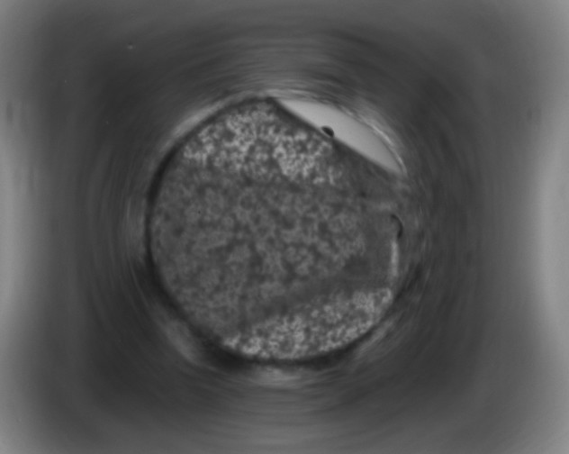 X0000085320346200703302049