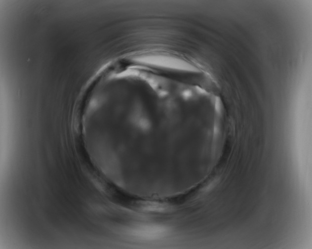 X0000085320347200703302049