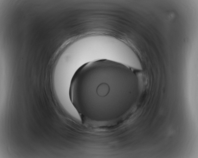 X0000085320348200703302049