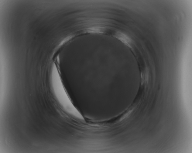 X0000085320349200703302049