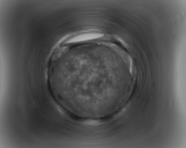 X0000085320350200703302049