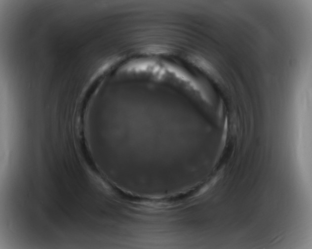 X0000085320351200703302049