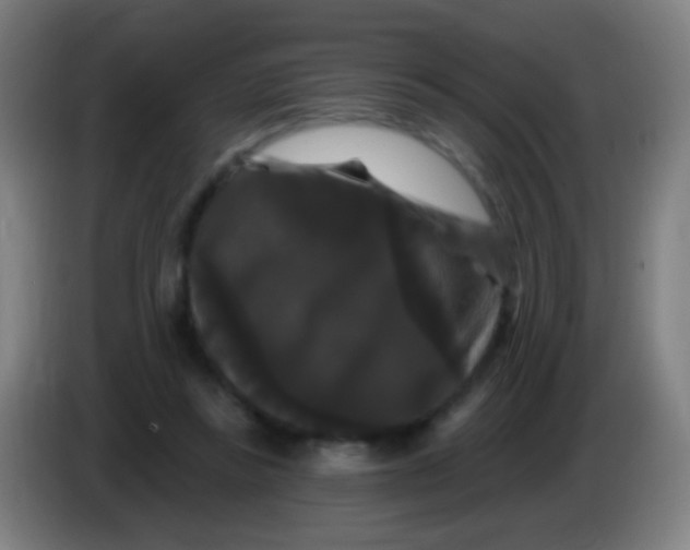X0000085320355200703302049