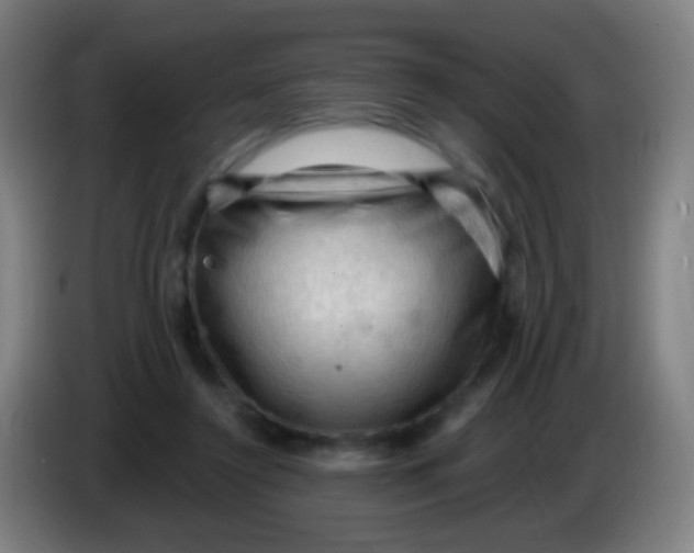 X0000085320356200703302049