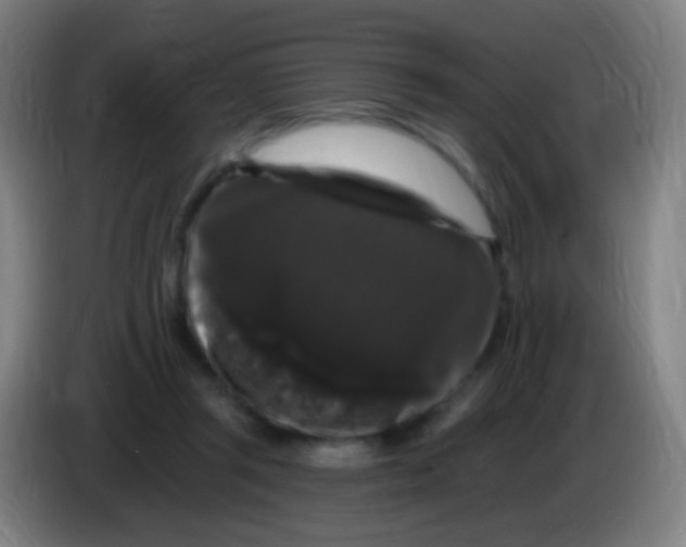 X0000085320357200703302049