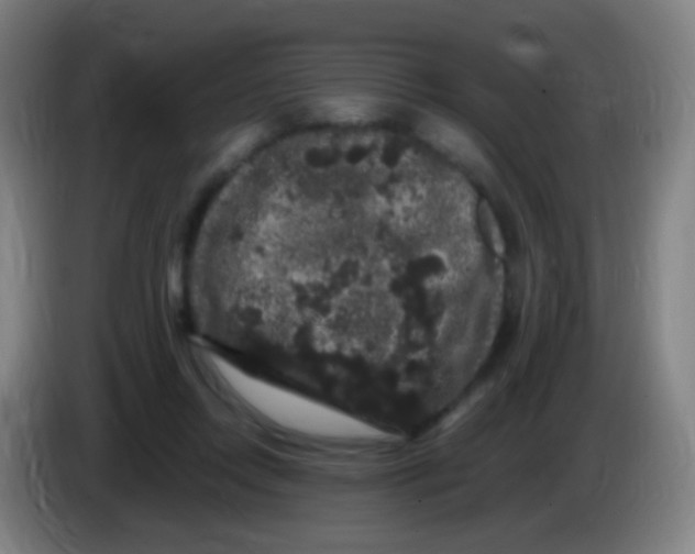 X0000085320358200703302049