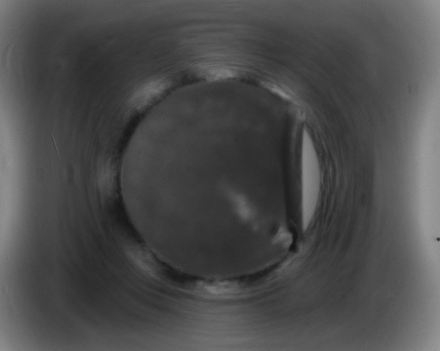 X0000085320359200703302049