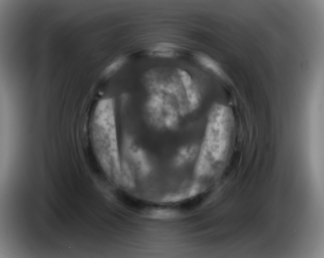 X0000085320360200703302049