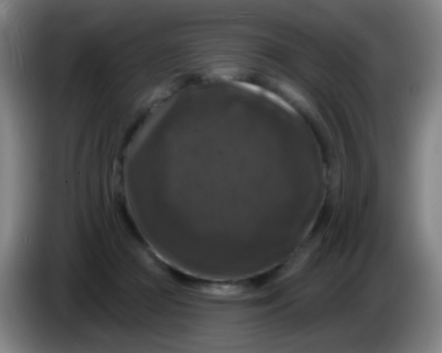 X0000085320361200703302049