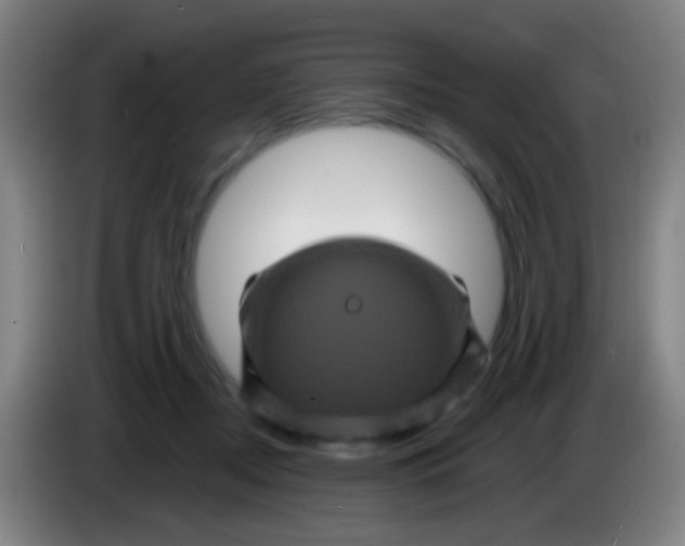 X0000085320362200703302049