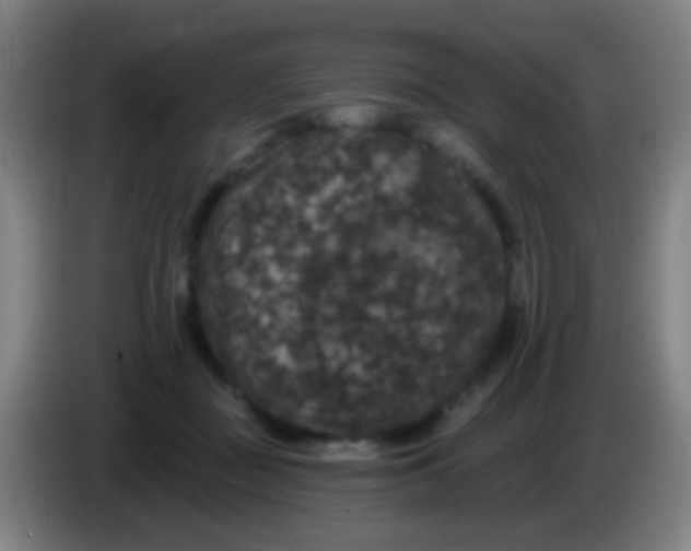 X0000085320363200703302049