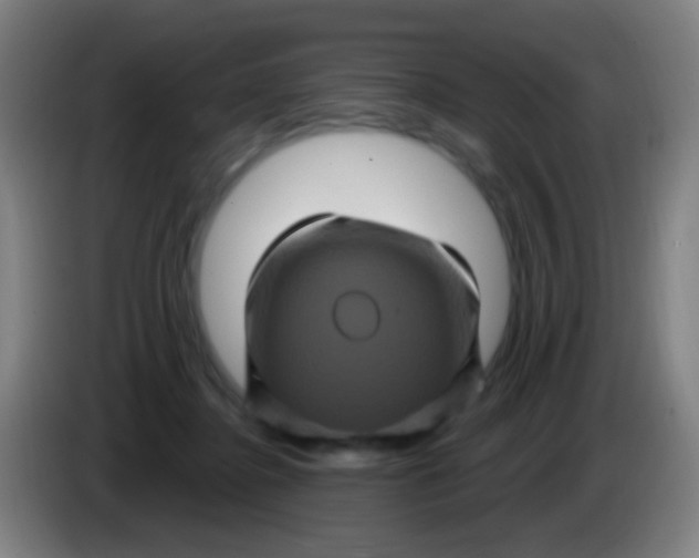 X0000085320364200703302049
