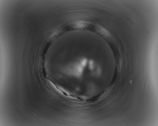 X0000085320366200703302049