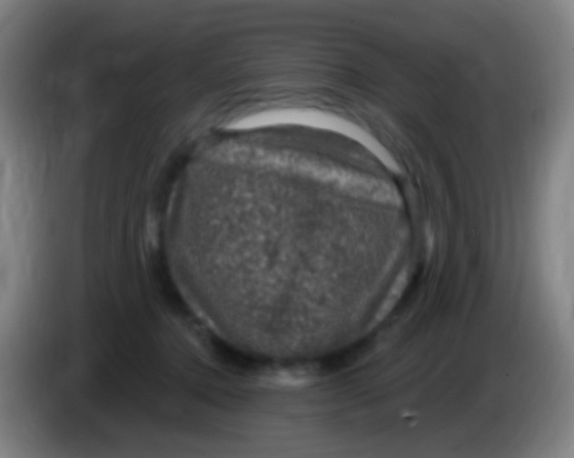 X0000085320368200703302049