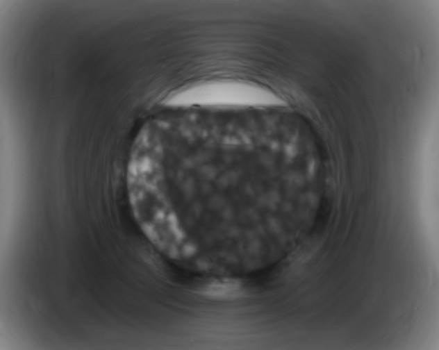 X0000085320369200703302049