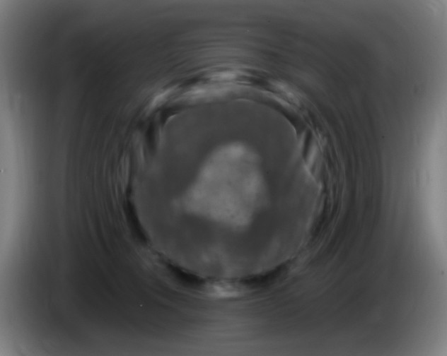 X0000085320372200703302050
