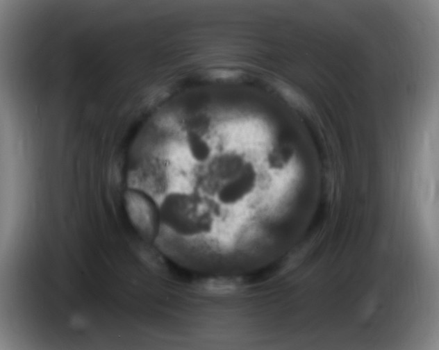 X0000085320373200703302050