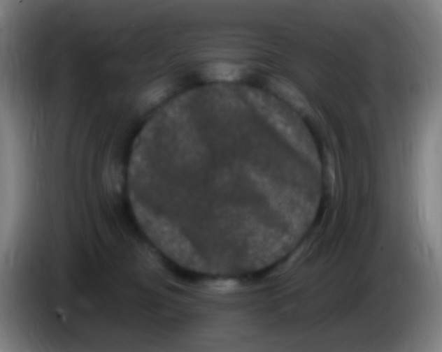 X0000085320374200703302050