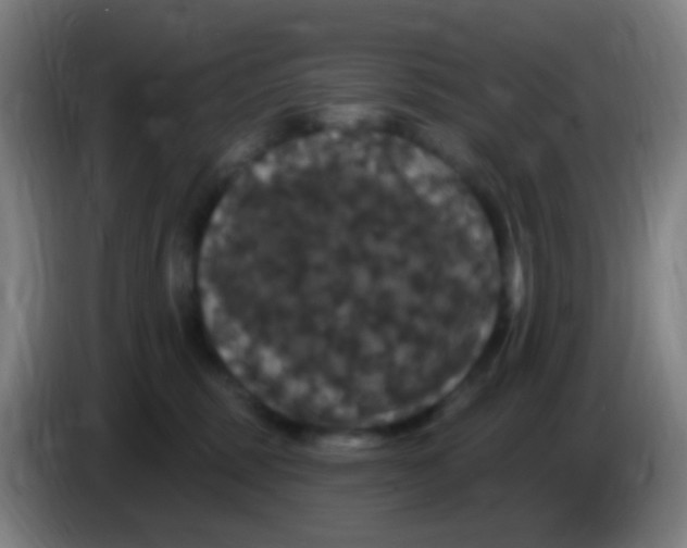 X0000085320375200703302050