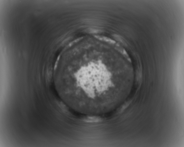 X0000085320376200703302050