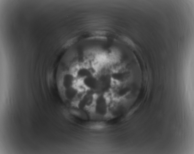 X0000085320377200703302050