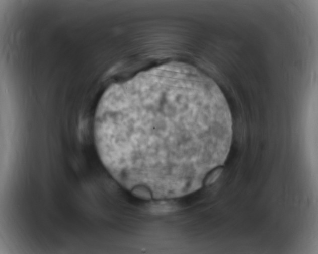 X0000085320378200703302050
