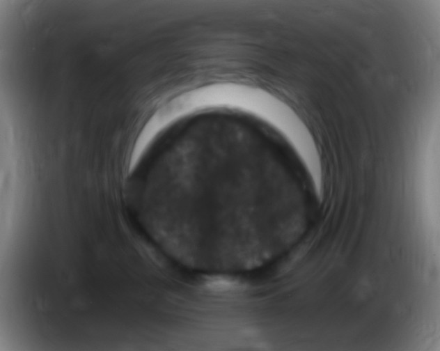 X0000085320380200703302050