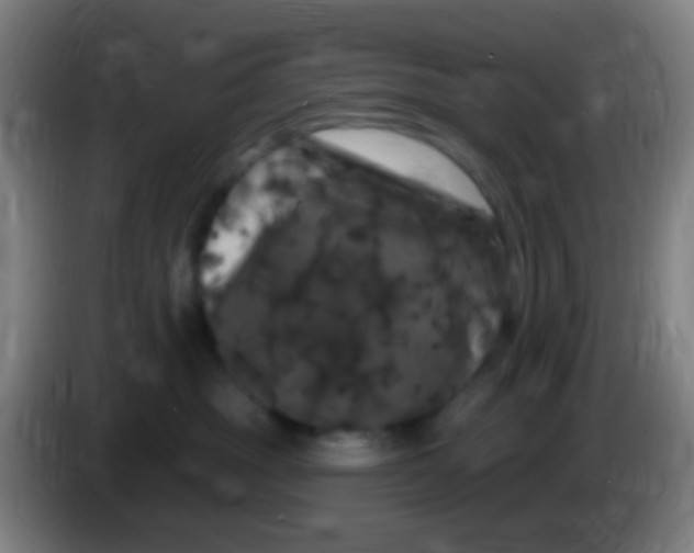 X0000085320381200703302050