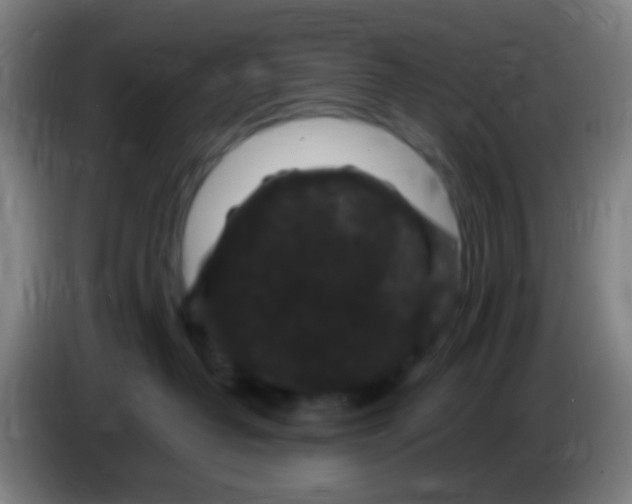 X0000085320382200703302050