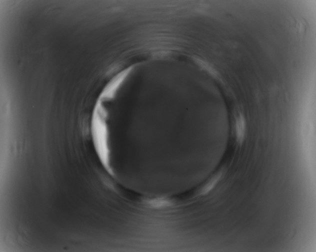 X0000085320383200703302050