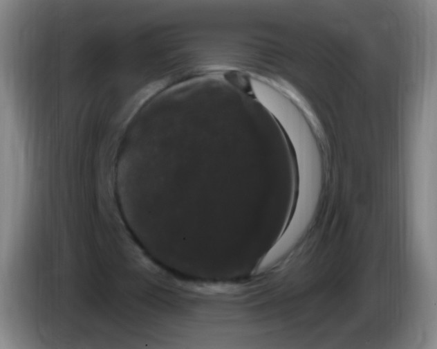 X0000085320385200703302049