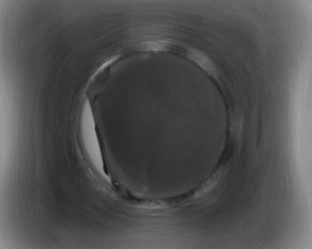 X0000085320386200703302049