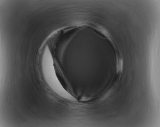 X0000085320387200703302049